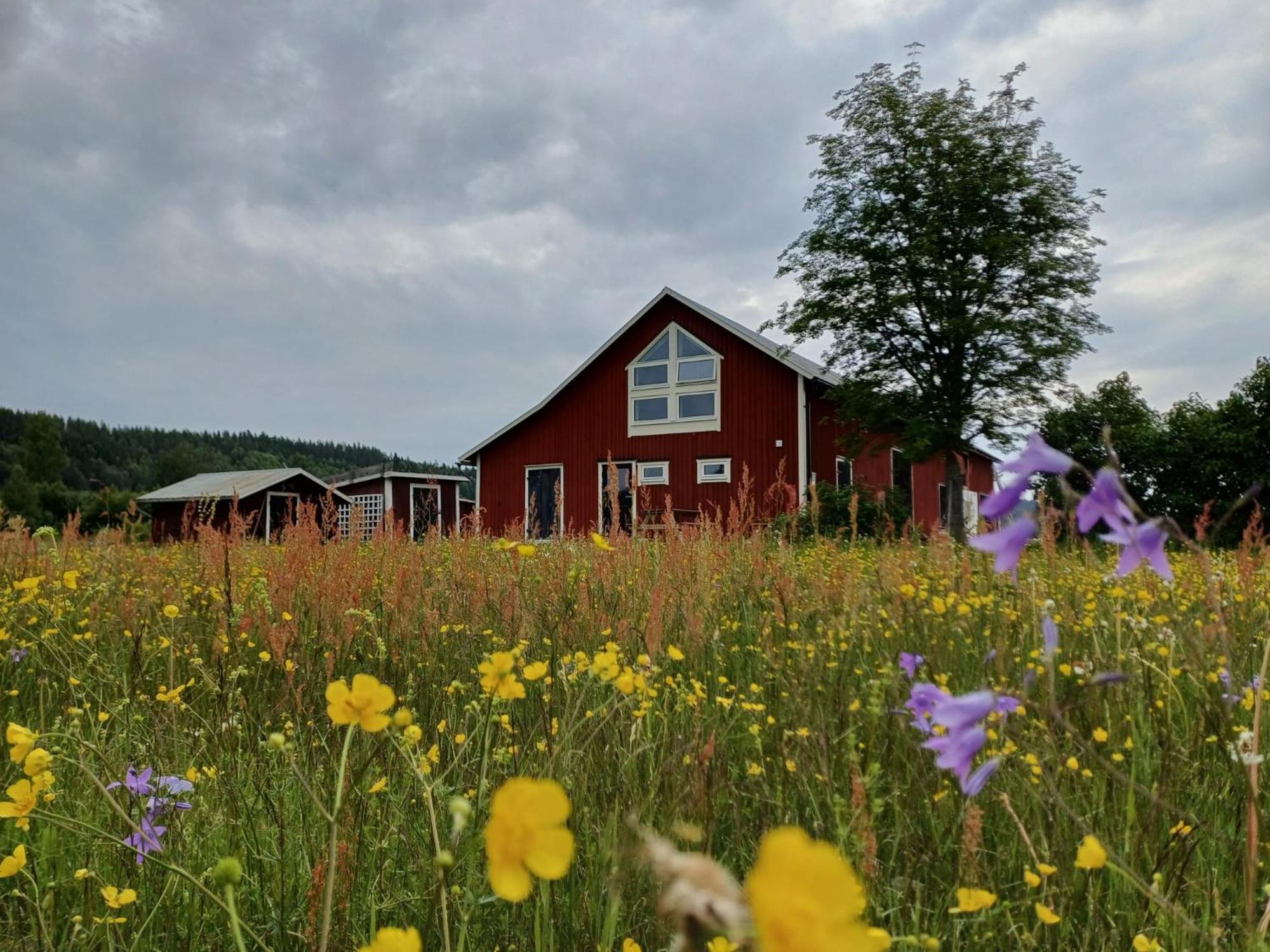 Ferienwohnung Ladansloft Stöllet Exterior foto